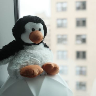 Penguin plush sitting on a dental instrument