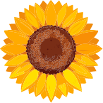 Cartoon sunflower